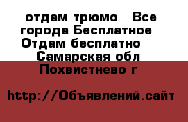 отдам трюмо - Все города Бесплатное » Отдам бесплатно   . Самарская обл.,Похвистнево г.